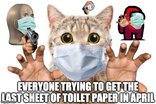 Life in the Times of the Coronavirus | EVERYONE TRYING TO GET THE LAST SHEET OF TOILET PAPER IN APRIL | image tagged in cats,memes,toilet paper,coronavirus meme | made w/ Imgflip meme maker