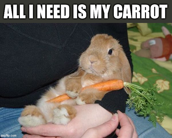ALL I NEED IS MY CARROT | image tagged in bunnies | made w/ Imgflip meme maker