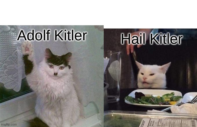 Adolf Kitler | Adolf Kitler; Hail Kitler | image tagged in cats | made w/ Imgflip meme maker