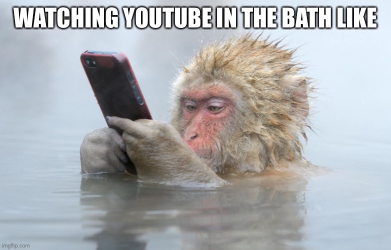 Monkey boi | WATCHING YOUTUBE IN THE BATH LIKE | image tagged in monkey in a hot tub with iphone | made w/ Imgflip meme maker