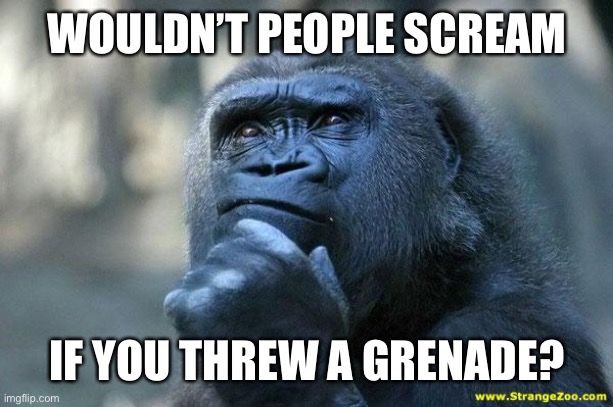 Deep Thoughts | WOULDN’T PEOPLE SCREAM IF YOU THREW A GRENADE? | image tagged in deep thoughts | made w/ Imgflip meme maker