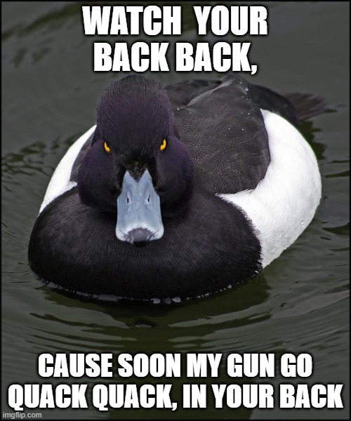Angry duck | WATCH  YOUR BACK BACK, CAUSE SOON MY GUN GO QUACK QUACK, IN YOUR BACK | image tagged in angry duck | made w/ Imgflip meme maker