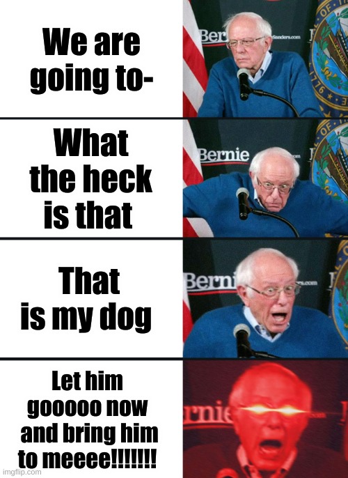 Bernie Sanders reaction (nuked) | We are going to-; What the heck is that; That is my dog; Let him gooooo now
 and bring him to meeee!!!!!!! | image tagged in bernie sanders reaction nuked | made w/ Imgflip meme maker