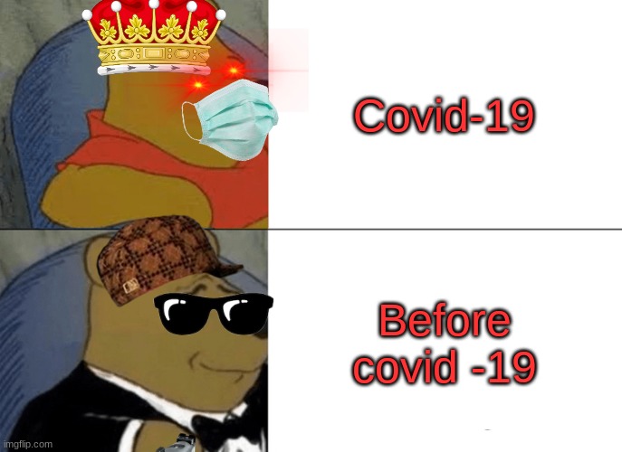 covid-19 Before and after | Covid-19; Before covid -19 | image tagged in memes,tuxedo winnie the pooh | made w/ Imgflip meme maker