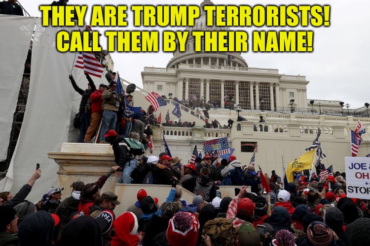 Call them by their name! | THEY ARE TRUMP TERRORISTS!
CALL THEM BY THEIR NAME! | image tagged in capitol riot | made w/ Imgflip meme maker