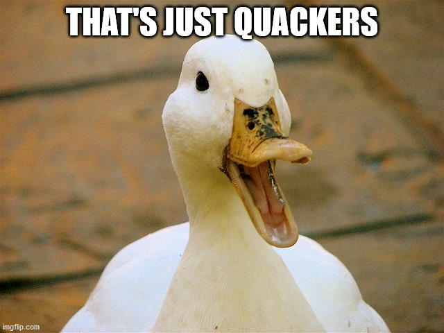 Duck | THAT'S JUST QUACKERS | image tagged in duck | made w/ Imgflip meme maker