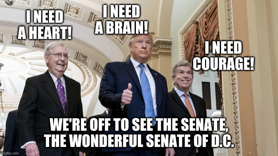 Looming Impeachment Trial | I NEED A BRAIN! I NEED A HEART! I NEED COURAGE! WE'RE OFF TO SEE THE SENATE, THE WONDERFUL SENATE OF D.C. | image tagged in trump,impeachment | made w/ Imgflip meme maker