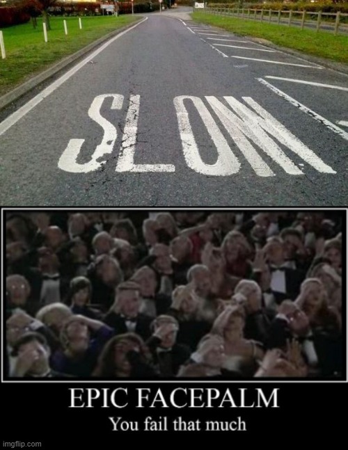 is that slow, slom, or slonw | image tagged in epic facepalm | made w/ Imgflip meme maker