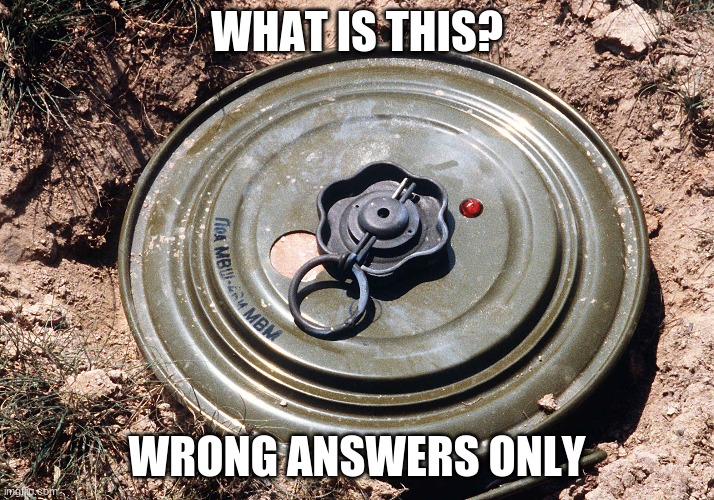 WHAT IS THIS? WRONG ANSWERS ONLY | made w/ Imgflip meme maker