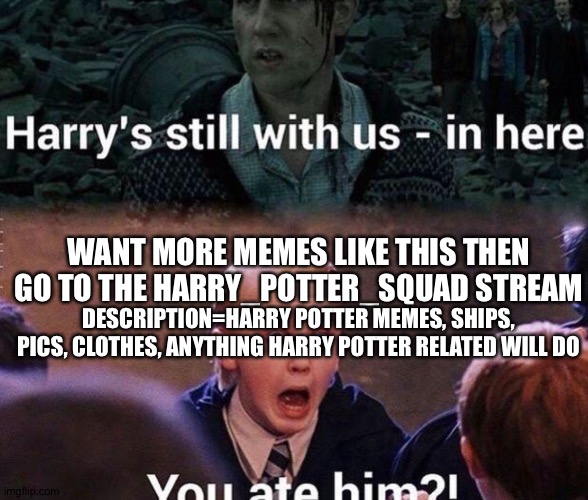 Harry Potter Memes For Every Occasion