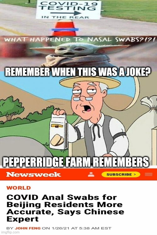 short end of the stick | REMEMBER WHEN THIS WAS A JOKE? PEPPERRIDGE FARM REMEMBERS | image tagged in memes,pepperidge farm remembers,coronavirus | made w/ Imgflip meme maker