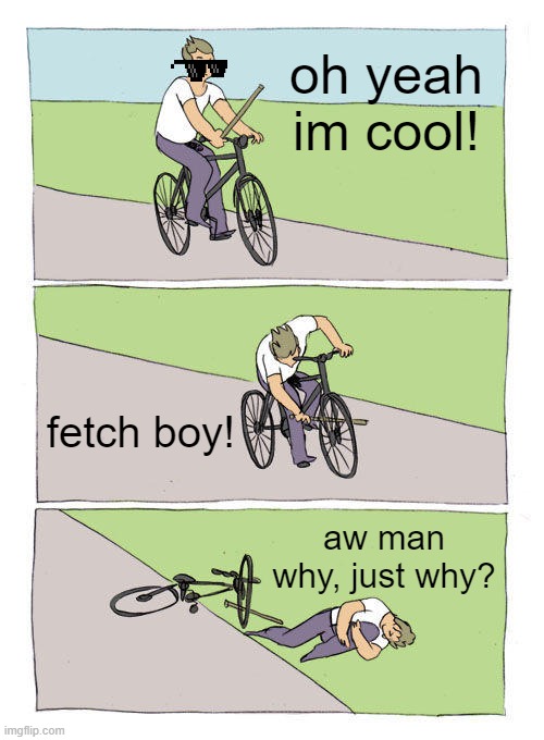 Bike Fall | oh yeah im cool! fetch boy! aw man why, just why? | image tagged in memes,bike fall | made w/ Imgflip meme maker