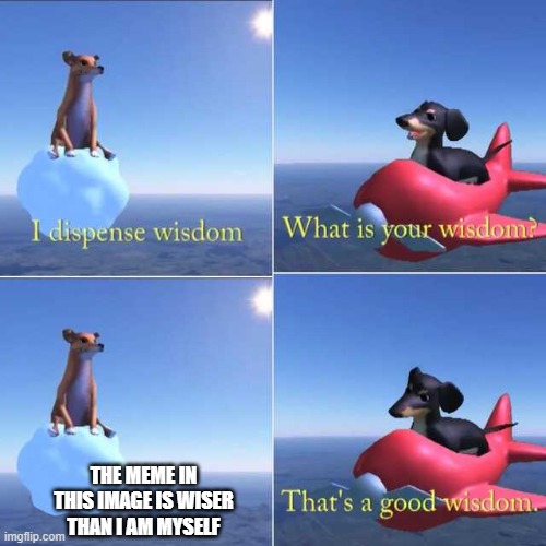 Dog wisdom | THE MEME IN THIS IMAGE IS WISER THAN I AM MYSELF | image tagged in dog wisdom | made w/ Imgflip meme maker