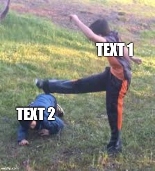 TEXT 1; TEXT 2 | image tagged in memes,blank transparent square | made w/ Imgflip meme maker