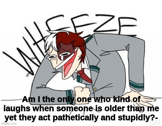 Todoroki wheeze | Am I the only one who kind of laughs when someone is older than me yet they act pathetically and stupidly?- | image tagged in todoroki wheeze | made w/ Imgflip meme maker