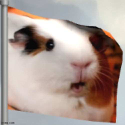 GUINEA POG FLAG | image tagged in memes,poggers,pogchamp,pog | made w/ Imgflip meme maker