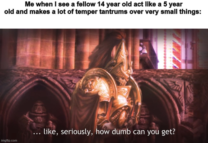 I didn't experience this though | Me when I see a fellow 14 year old act like a 5 year old and makes a lot of temper tantrums over very small things: | image tagged in like seriously how dumb can you get | made w/ Imgflip meme maker