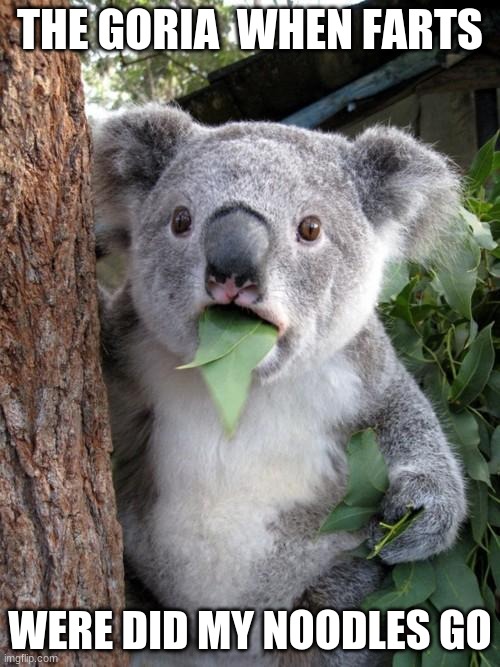 Surprised Koala | THE GORIA  WHEN FARTS; WERE DID MY NOODLES GO | image tagged in memes,surprised koala | made w/ Imgflip meme maker