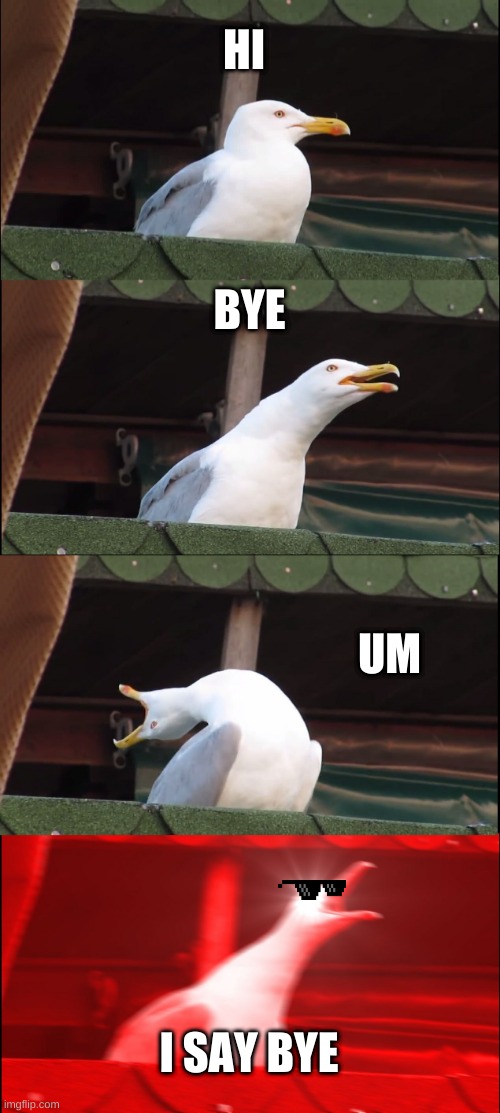 Inhaling Seagull Meme | HI; BYE; UM; I SAY BYE | image tagged in memes,inhaling seagull | made w/ Imgflip meme maker