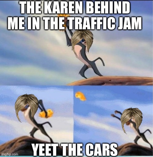 lion being yeeted | THE KAREN BEHIND ME IN THE TRAFFIC JAM YEET THE CARS | image tagged in lion being yeeted | made w/ Imgflip meme maker