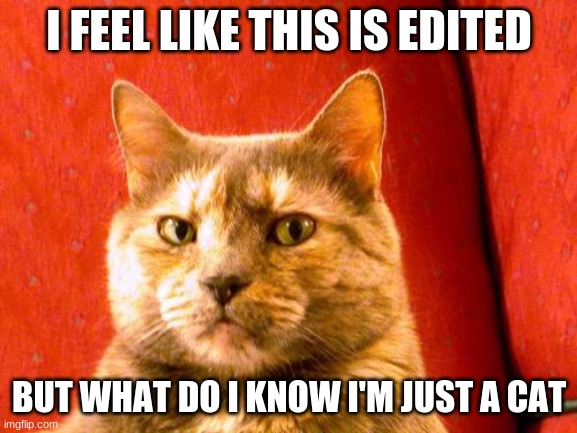Suspicious Cat | I FEEL LIKE THIS IS EDITED; BUT WHAT DO I KNOW I'M JUST A CAT | image tagged in memes,suspicious cat | made w/ Imgflip meme maker