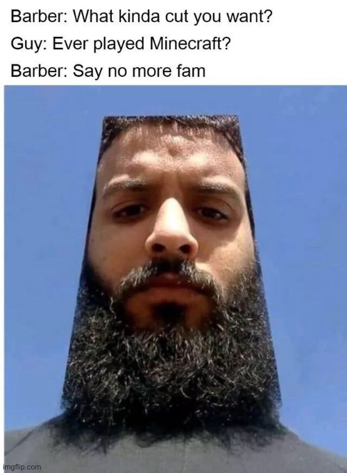 minecraft | image tagged in haircut,minecraft,barber,memes,funny | made w/ Imgflip meme maker