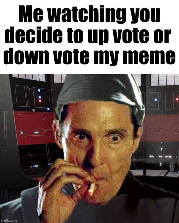 You decide the fate of this meme. | Me watching you decide to up vote or 
down vote my meme; ......... | image tagged in memes,imgflip,the council will decide your fate | made w/ Imgflip meme maker