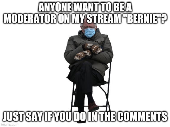 Come on, anyone... | ANYONE WANT TO BE A MODERATOR ON MY STREAM "BERNIE"? JUST SAY IF YOU DO IN THE COMMENTS | image tagged in blank white template | made w/ Imgflip meme maker