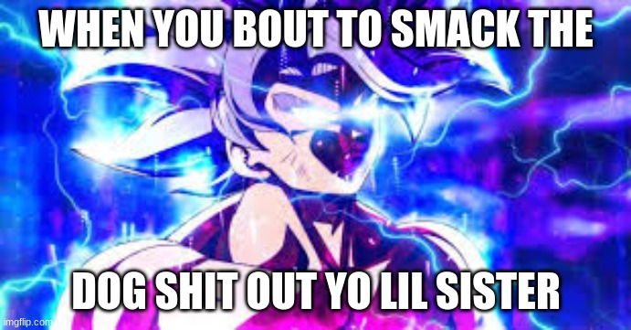 DONT TOUCH MY SHIT | WHEN YOU BOUT TO SMACK THE; DOG SHIT OUT YO LIL SISTER | image tagged in siblings | made w/ Imgflip meme maker
