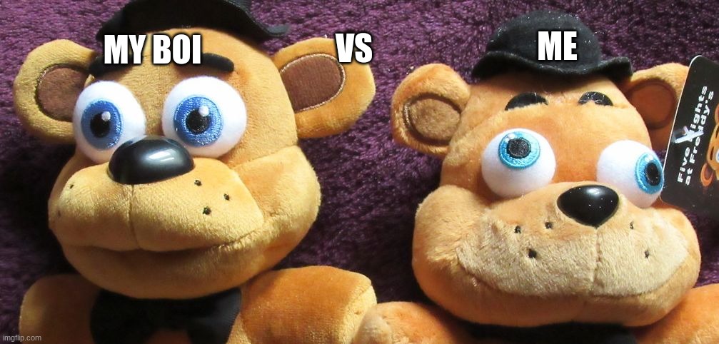 me and my boi goin on a road road trip | ME; VS; MY BOI | image tagged in me x vs me x fnaf plushies | made w/ Imgflip meme maker