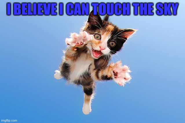 Cat Jumping | I BELIEVE I CAN TOUCH THE SKY | image tagged in cat jumping | made w/ Imgflip meme maker