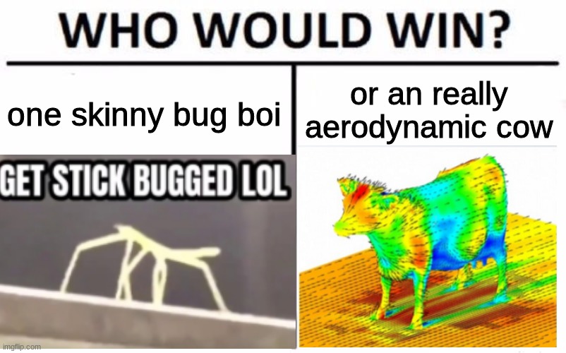Who will win | or an really aerodynamic cow; one skinny bug boi | image tagged in get stick bugged lol,aerodynamics of a cow | made w/ Imgflip meme maker