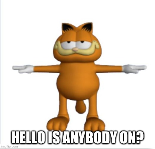 garfield t-pose | HELLO IS ANYBODY ON? | image tagged in garfield t-pose | made w/ Imgflip meme maker