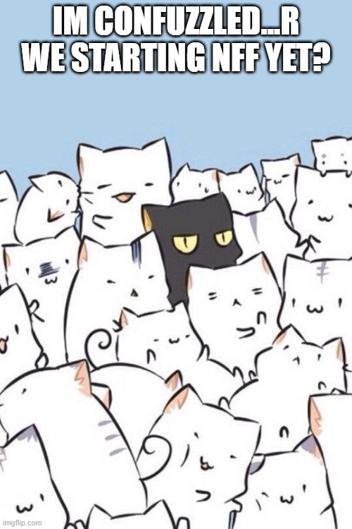 Cats | IM CONFUZZLED...R WE STARTING NFF YET? | image tagged in cats | made w/ Imgflip meme maker