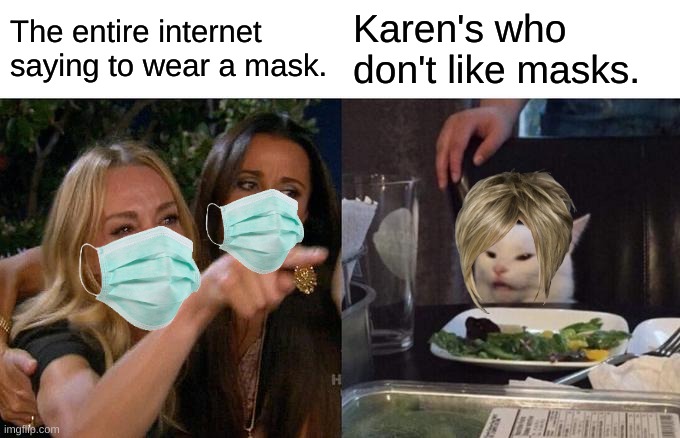 Woman Yelling At Cat Meme | The entire internet saying to wear a mask. Karen's who don't like masks. | image tagged in memes,woman yelling at cat | made w/ Imgflip meme maker