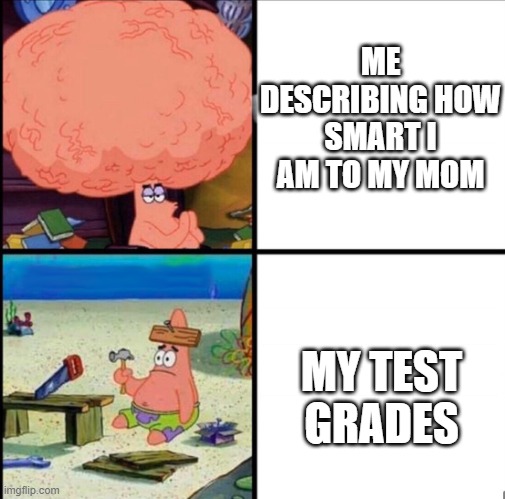 patrick big brain | ME DESCRIBING HOW SMART I AM TO MY MOM; MY TEST GRADES | image tagged in patrick big brain | made w/ Imgflip meme maker