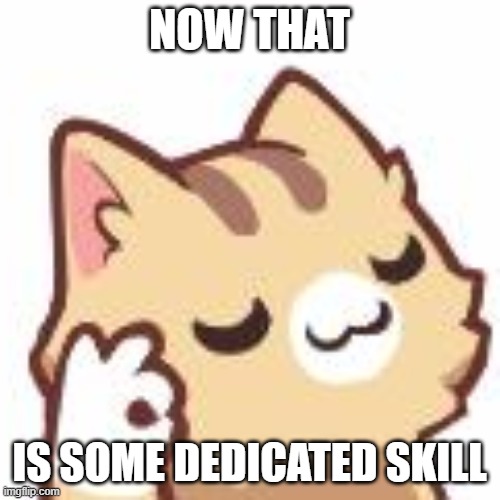 Ok kitty | NOW THAT IS SOME DEDICATED SKILL | image tagged in ok kitty | made w/ Imgflip meme maker