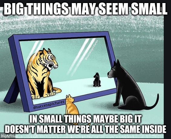 big and little | BIG THINGS MAY SEEM SMALL; IN SMALL THINGS MAYBE BIG IT DOESN'T MATTER WE'RE ALL THE SAME INSIDE | image tagged in funny cat memes,funny dogs | made w/ Imgflip meme maker