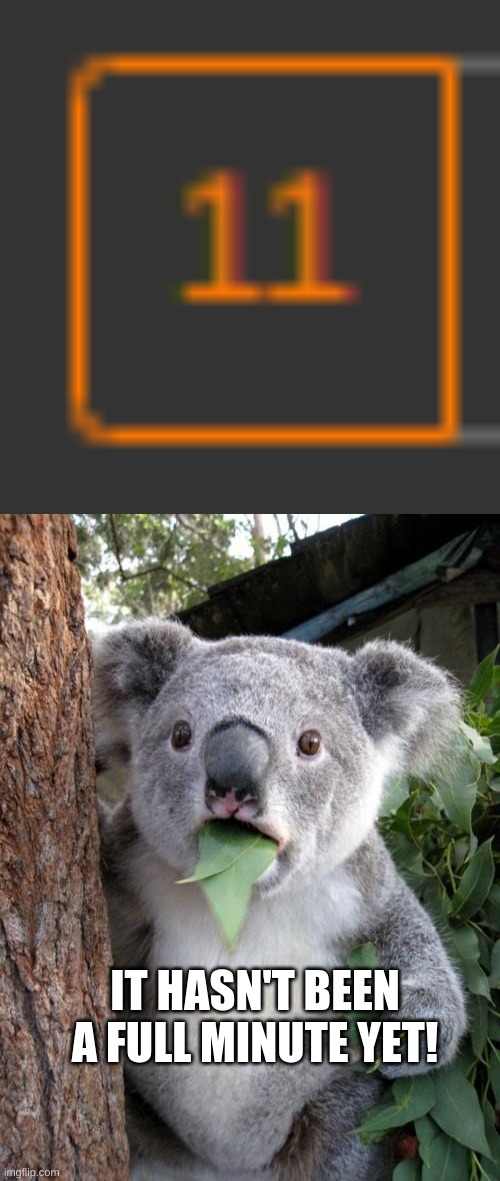 IT HASN'T BEEN A FULL MINUTE YET! | image tagged in memes,surprised koala | made w/ Imgflip meme maker