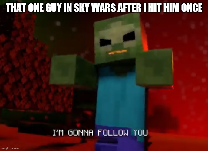 Following zombies | THAT ONE GUY IN SKY WARS AFTER I HIT HIM ONCE | image tagged in following zombies | made w/ Imgflip meme maker
