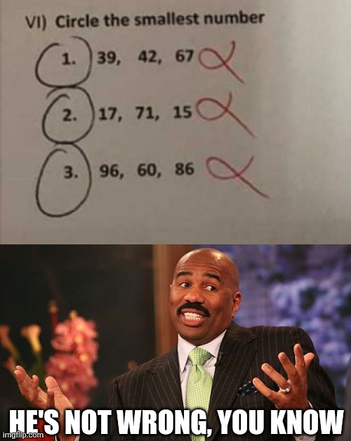 Lol | HE'S NOT WRONG, YOU KNOW | image tagged in memes,steve harvey,funny,kids,tests,meme man smort | made w/ Imgflip meme maker