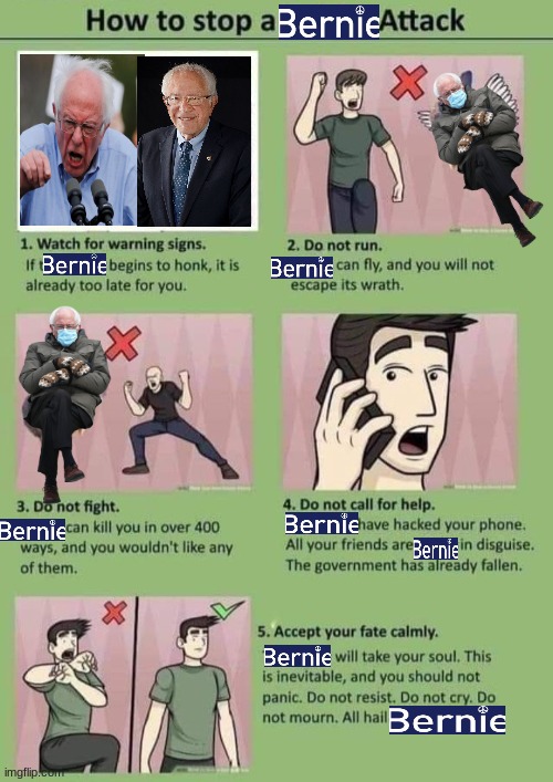 BEWARE THE BERNIE | image tagged in how to stop a rabbit attack,bernie sanders,lol,lol so funny,attack | made w/ Imgflip meme maker