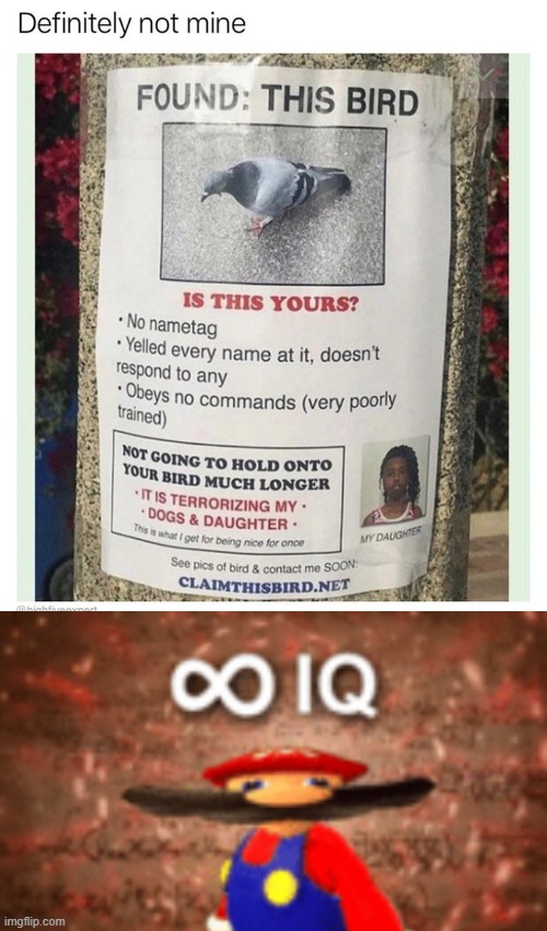 hehe | image tagged in lol,memes,funny,oof | made w/ Imgflip meme maker