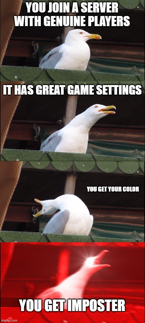 AMONG US! | YOU JOIN A SERVER WITH GENUINE PLAYERS; IT HAS GREAT GAME SETTINGS; YOU GET YOUR COLOR; YOU GET IMPOSTER | image tagged in memes,inhaling seagull | made w/ Imgflip meme maker