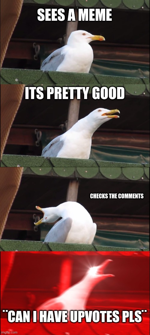 Inhaling Seagull | SEES A MEME; ITS PRETTY GOOD; CHECKS THE COMMENTS; ¨CAN I HAVE UPVOTES PLS¨ | image tagged in memes,inhaling seagull | made w/ Imgflip meme maker