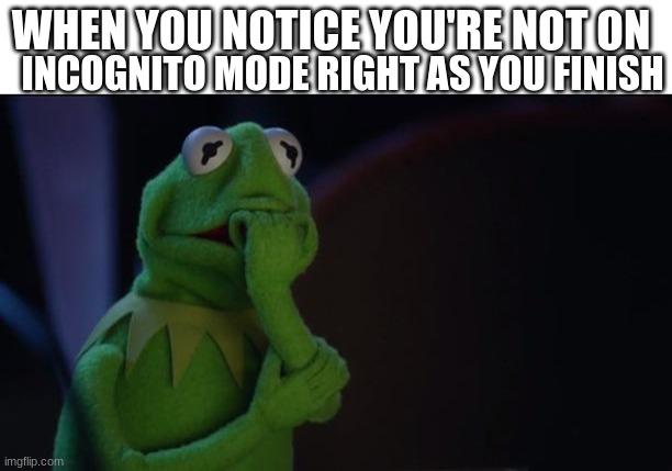 Kermit worried face | INCOGNITO MODE RIGHT AS YOU FINISH; WHEN YOU NOTICE YOU'RE NOT ON | image tagged in kermit worried face | made w/ Imgflip meme maker