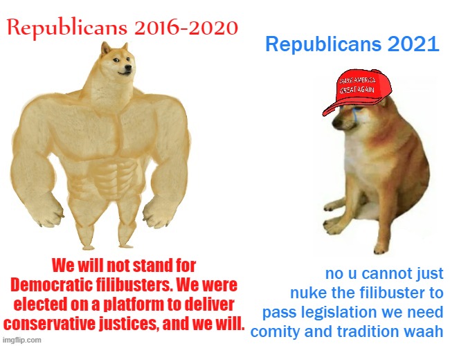 selective bipartisanship much | Republicans 2016-2020; Republicans 2021; no u cannot just nuke the filibuster to pass legislation we need comity and tradition waah; We will not stand for Democratic filibusters. We were elected on a platform to deliver conservative justices, and we will. | image tagged in buff doge vs maga cheems,senators,senate,government,conservative hypocrisy,conservative logic | made w/ Imgflip meme maker