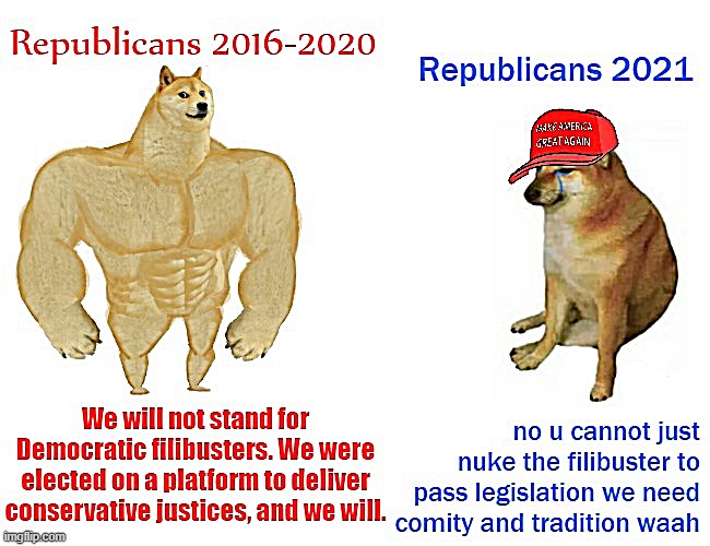 selective bipartisanship much | image tagged in senate,senators,mitch mcconnell,buff doge vs crying cheems,conservative hypocrisy,conservative logic | made w/ Imgflip meme maker