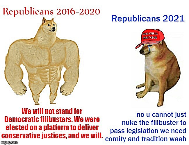 filibusters for me but not for thee | image tagged in buff doge vs cheems,buff doge vs crying cheems,republicans,senate,conservative hypocrisy,conservative logic | made w/ Imgflip meme maker