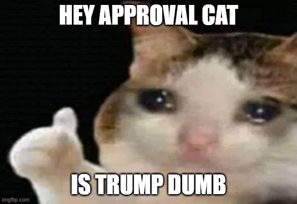 cat approved |  HEY APPROVAL CAT; IS TRUMP DUMB | image tagged in cat approved,memes,politics,cats,crossover | made w/ Imgflip meme maker